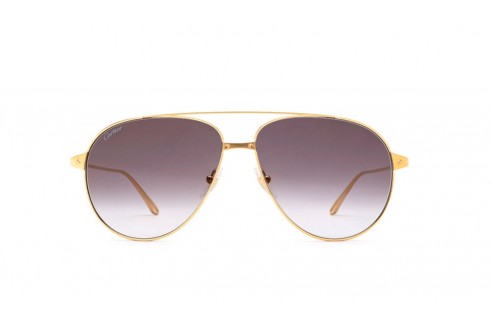 CARTIER - CT0298S 006 gold gold grey...
