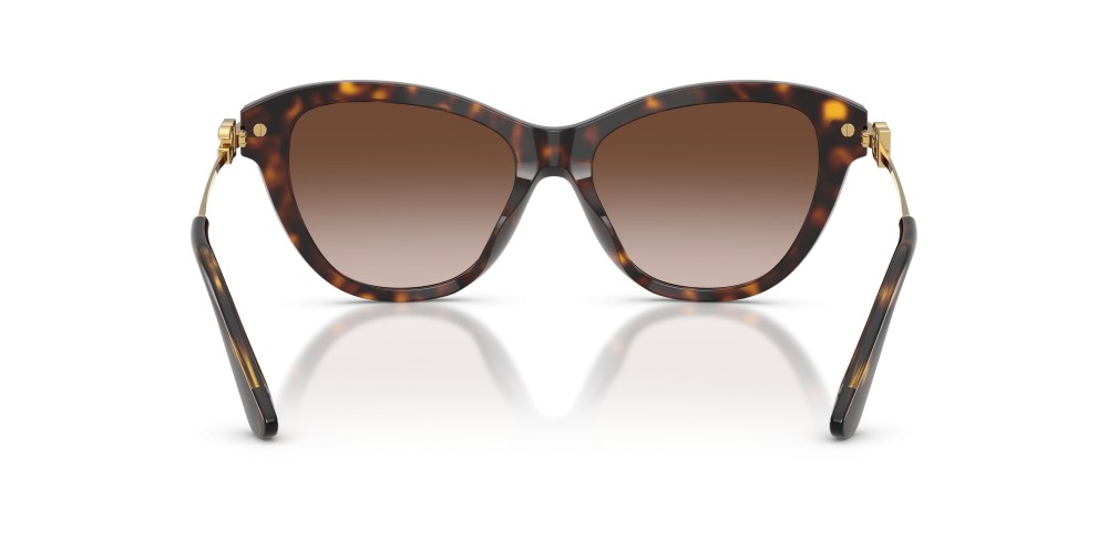 Dolce & Gabbana - 4534 502/13