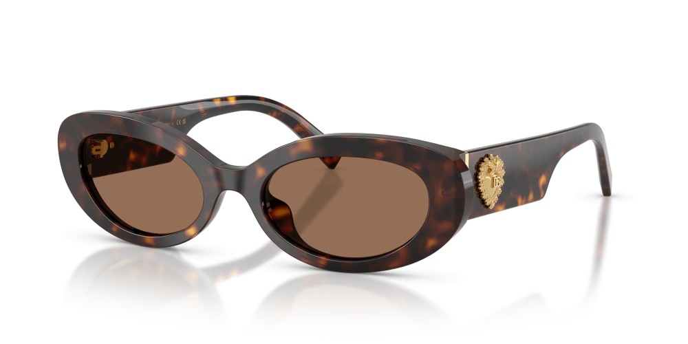 Dolce & Gabbana - 4537 502/73