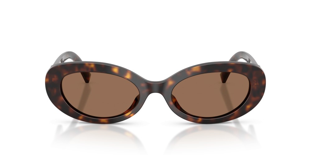 Dolce & Gabbana - 4537 502/73