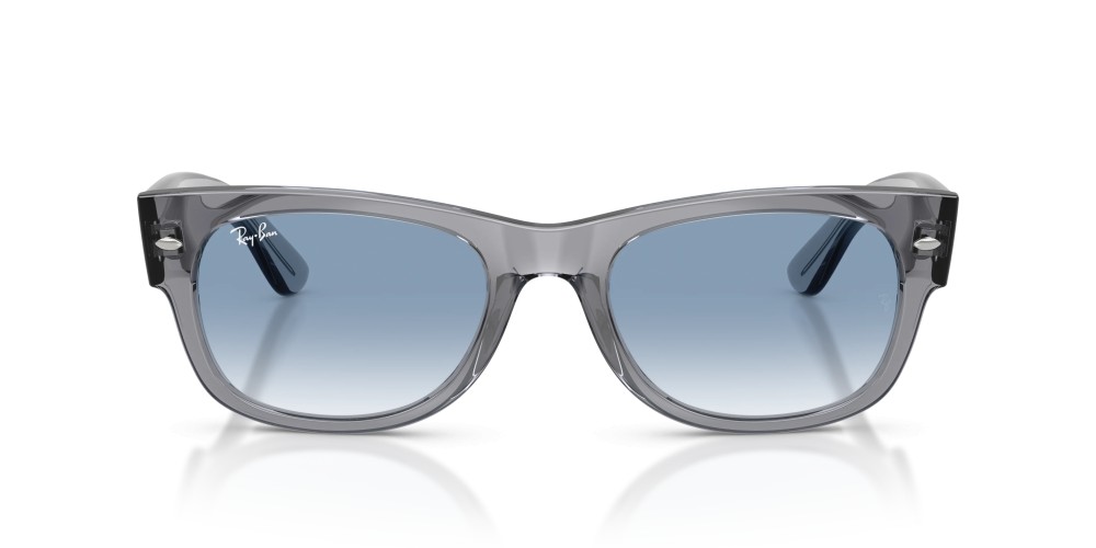 Ray-Ban - 0832S 68463F