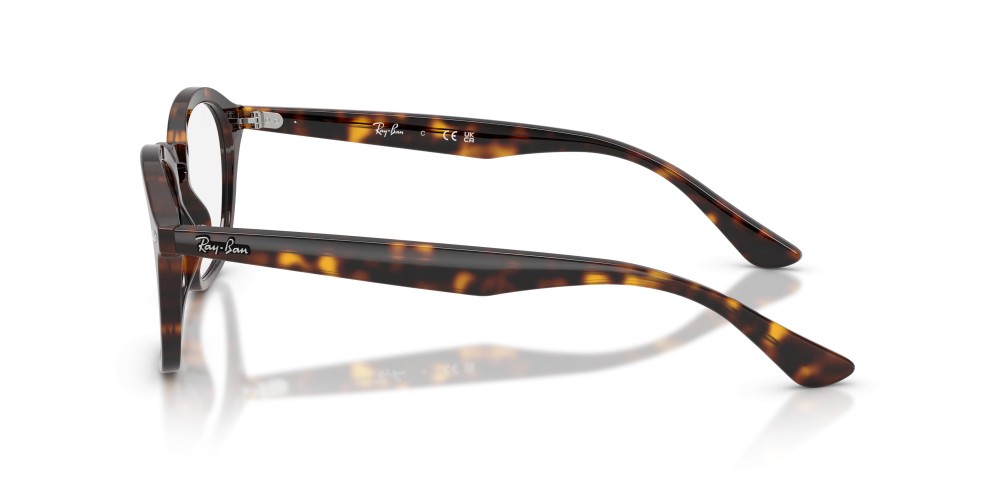 Ray-Ban - 5451 2012