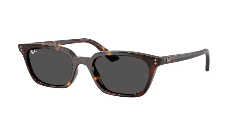 Ray-Ban - 4456 135987