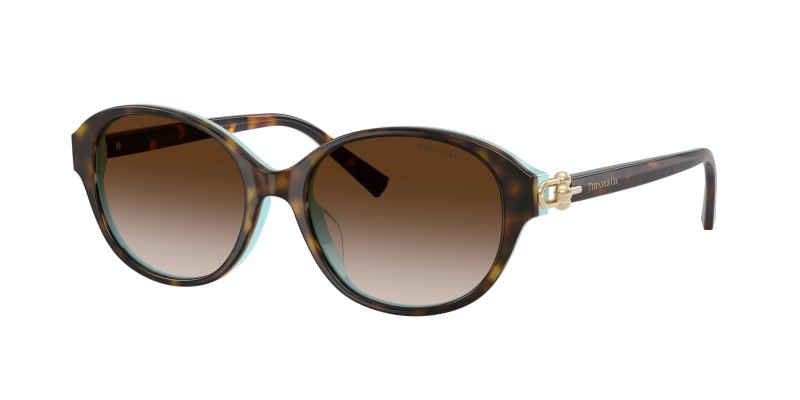 Tiffany & Co. - 4263D 81343B