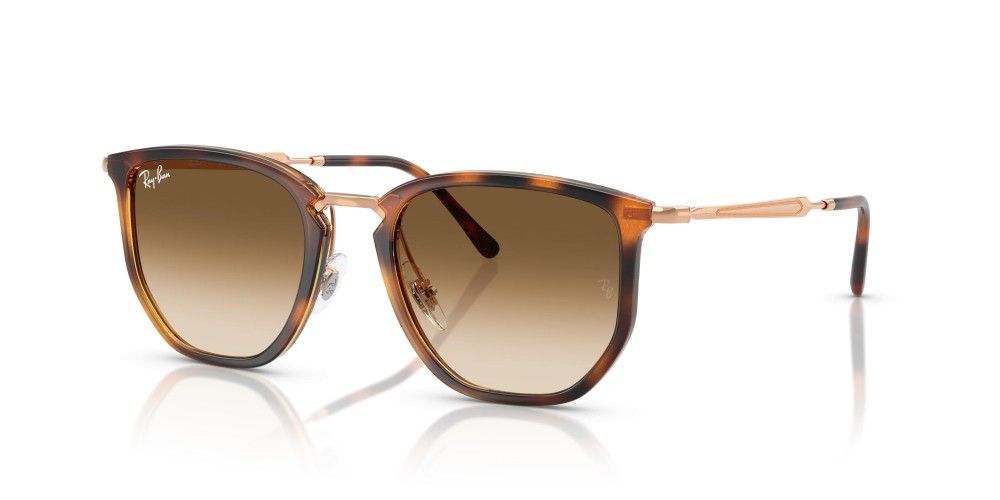Ray-Ban - 4451 680451