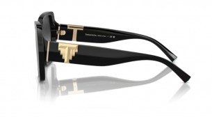Tiffany & Co. - 4219 SOLE... 2