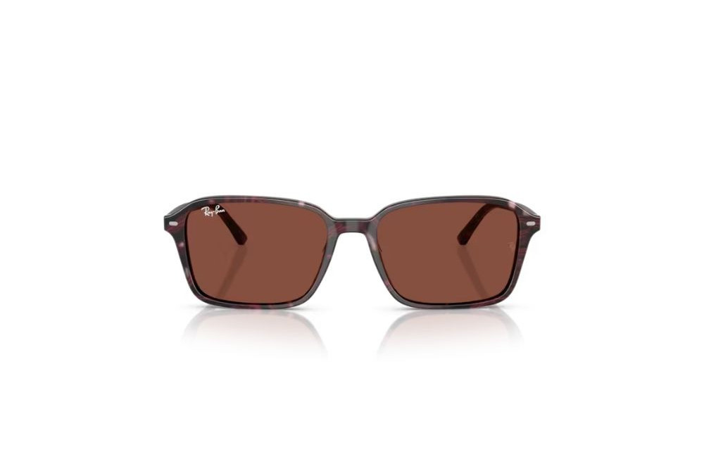 Ray-Ban - 2231 1416C5